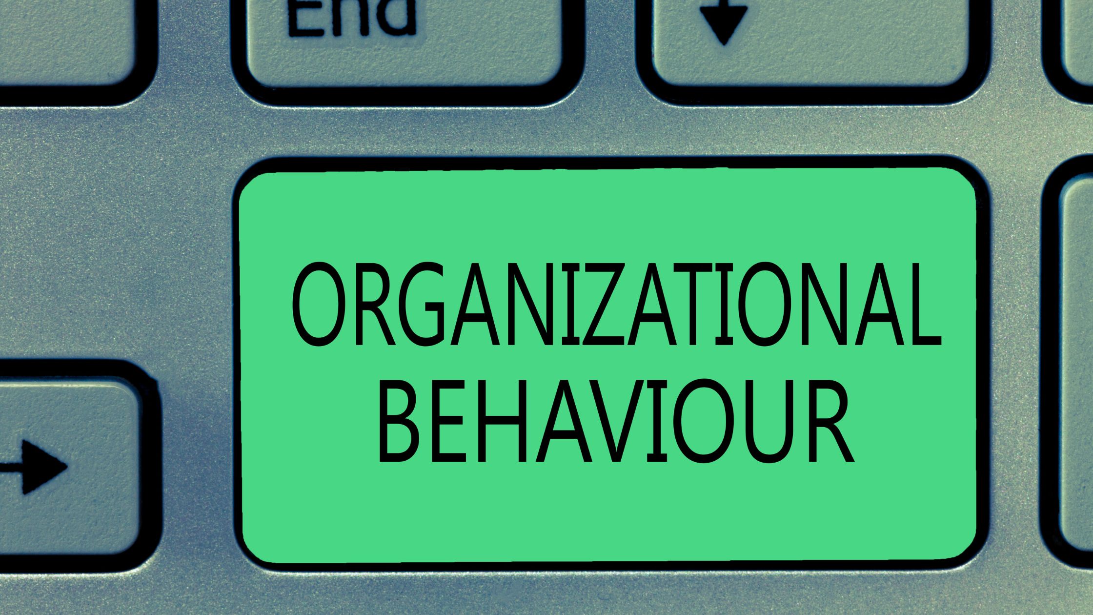 Organizational Behavior